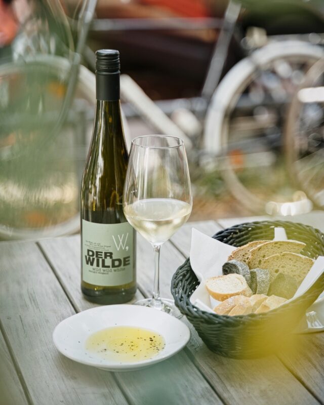 117570515 148039976961072 3172331045465032271 n