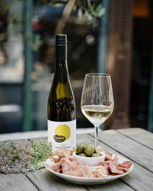 117931575 1647611022064327 7435250499808824900 n