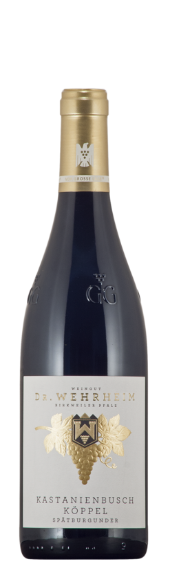 GG kastanienbusch köppel spätburgunder