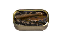 makrele jose gourmet 1 klein