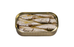 sardine jose gourmet 1 klein 1