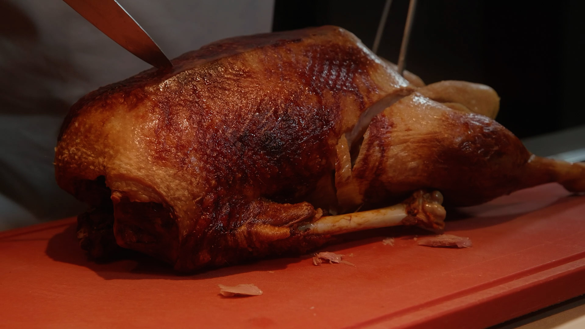 gans ente 1