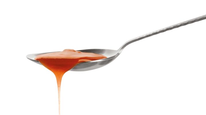 Orangensosse zur Ente