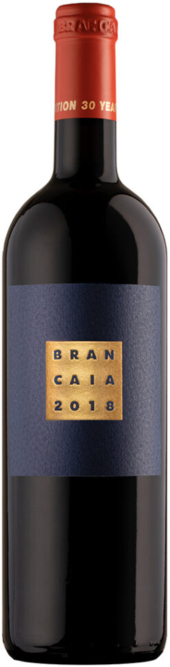 41901 il blu brancaia
