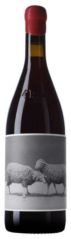 4 Kilos 2023 neumanns weine